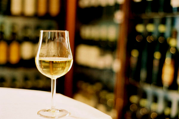 最初のDOCワインは？イタリアのDOC法が今年で50周年を迎えます!！