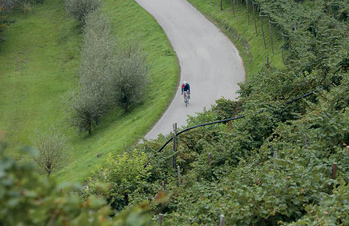 Proseccocycling・・・プロセッコの産地を走り抜けるイベントです。